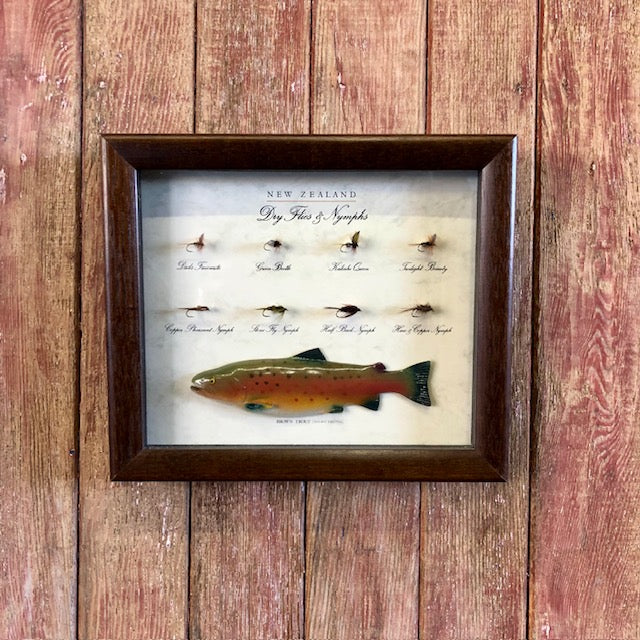 NZ Trout Fly Fishing Shadow Box – All Vintage Antiques